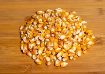 Maize
