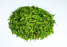 Green Chilli